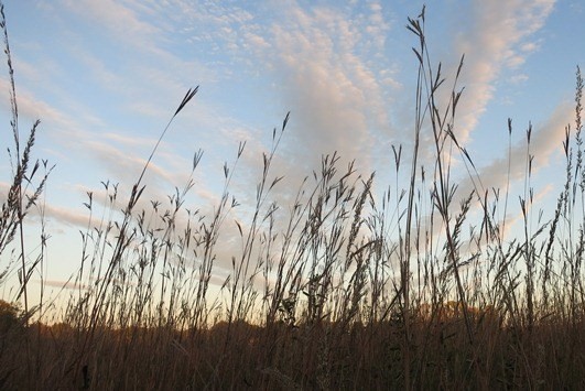 Link to Nebraska Tourism